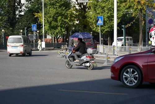 寶興縣規范電動三輪與四輪車管理 上路需持證上牌，強化生產源頭治理